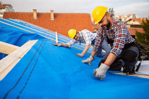 Best Roof Repair Services  in De Soto, KS