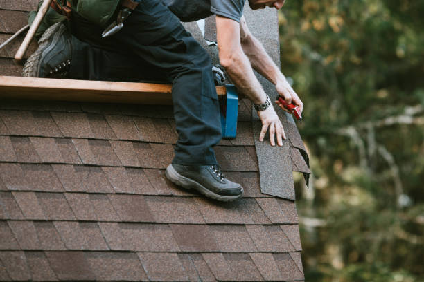 Professional Roofing Contractor in De Soto, KS